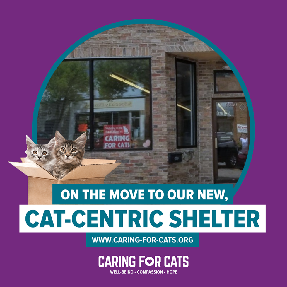 Home Caring for Cats