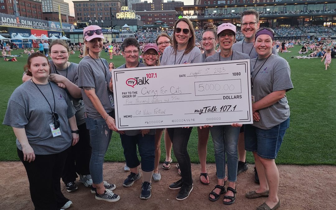 Cat Video Fest 2023!