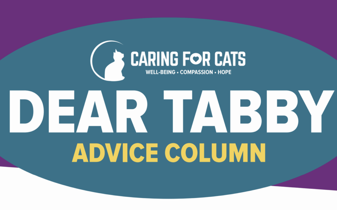 Slow Introductions Aren’t Just for Felines