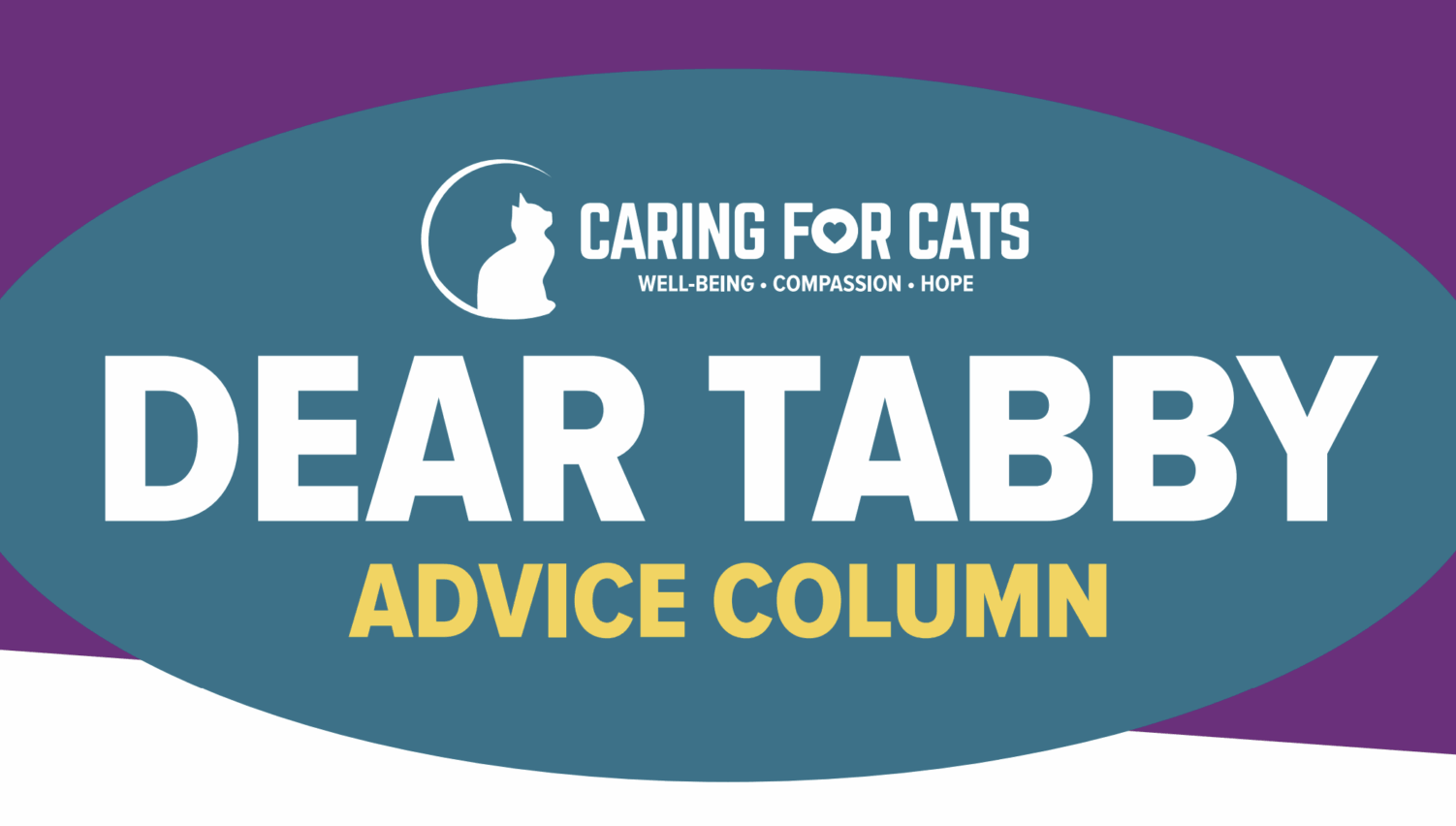 Caring for Cats Dear Tabby Advice Column