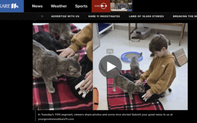 Caring for Cats on Kare11 Good News