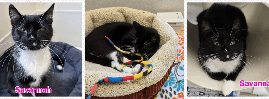 Savannah Can See a Bright Future