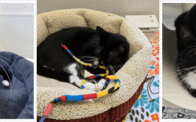 Savannah Can See a Bright Future