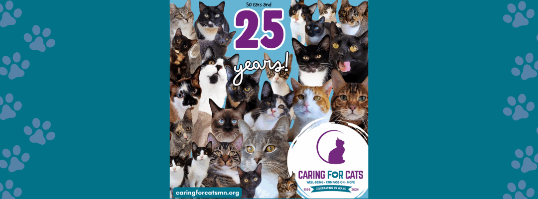 Caring for Cats Celebrates 25 Years