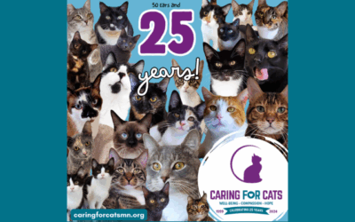 Caring for Cats Celebrates 25 Years