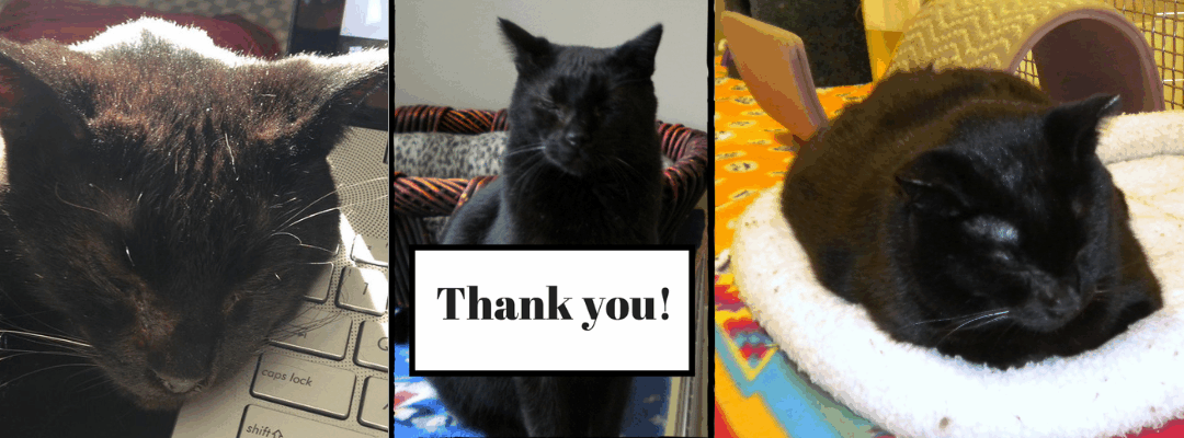 Rescued and Resilient: Calvin’s Story