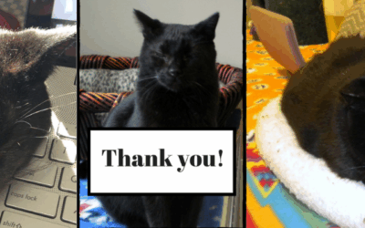 Rescued and Resilient: Calvin’s Story