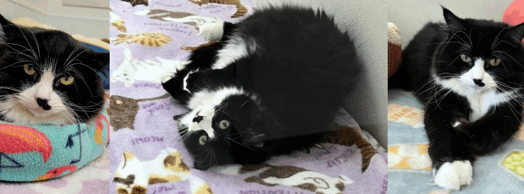 Earning Maria’s Trust