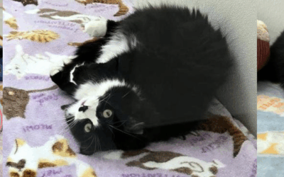 Earning Maria’s Trust