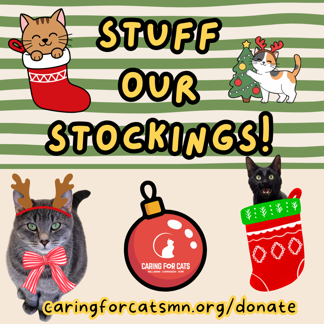 Stuff Our Stockings-1