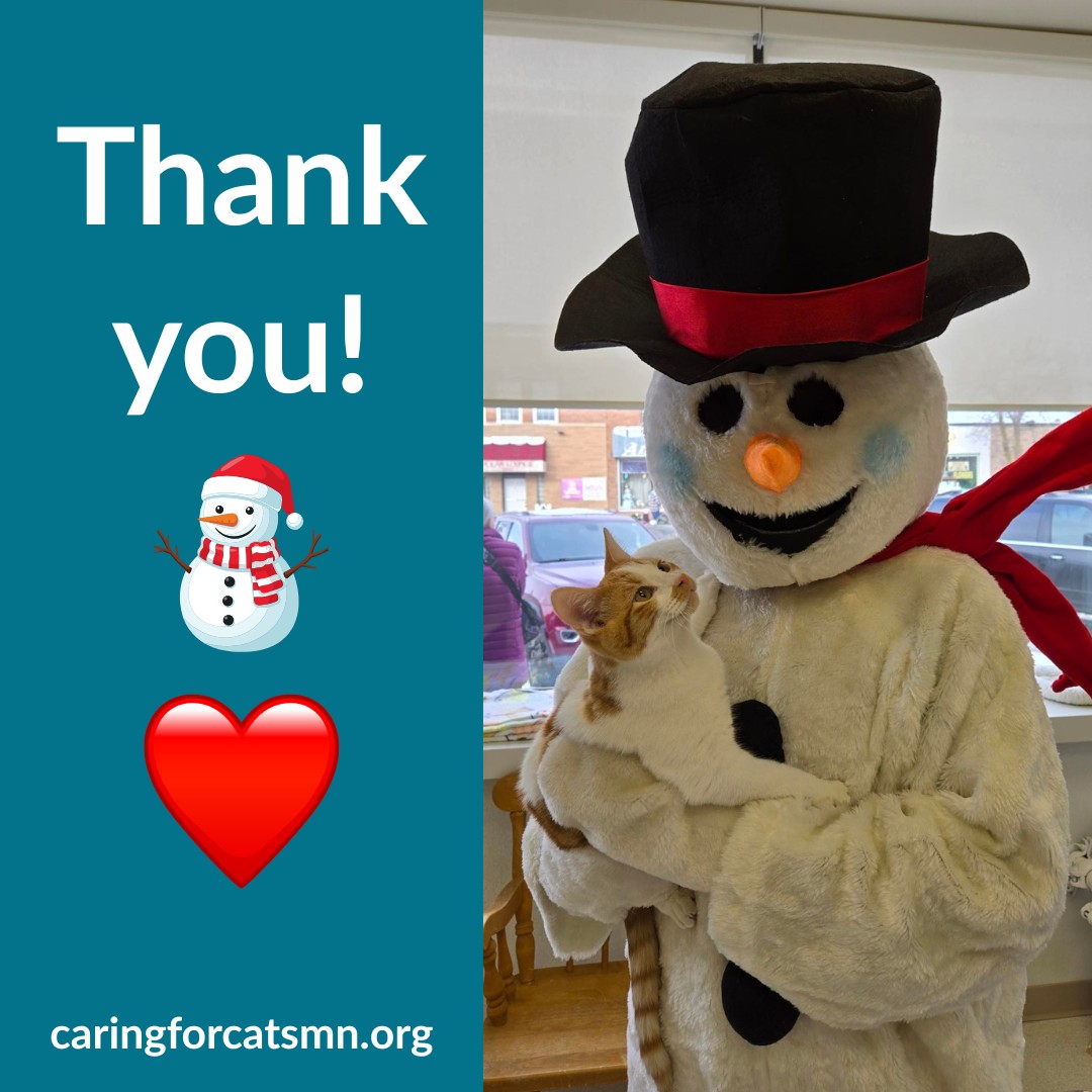 Caring for Cats Shelter in North St. Paul - a woman with short brown hair stands next to the door welcoming you into our safe, clean shelter