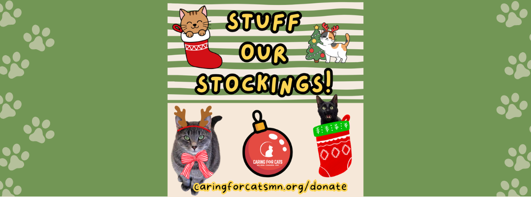 A Season of Care, Thanks to You