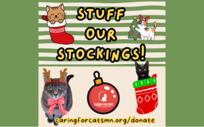 A Season of Care, Thanks to You