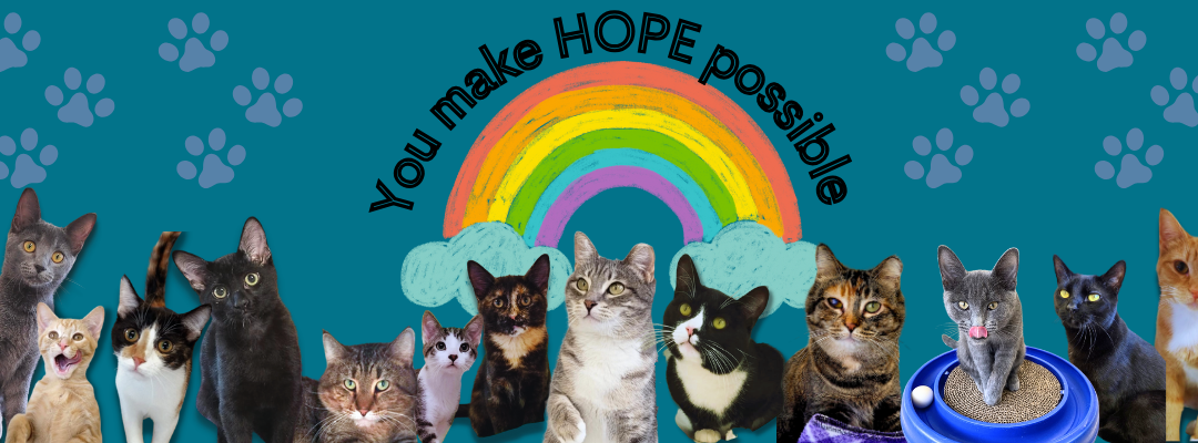 Change a Life. Change Two. Change Everything.