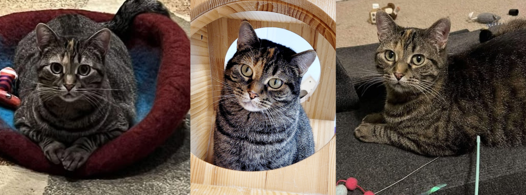 Story’s Happily Ever After