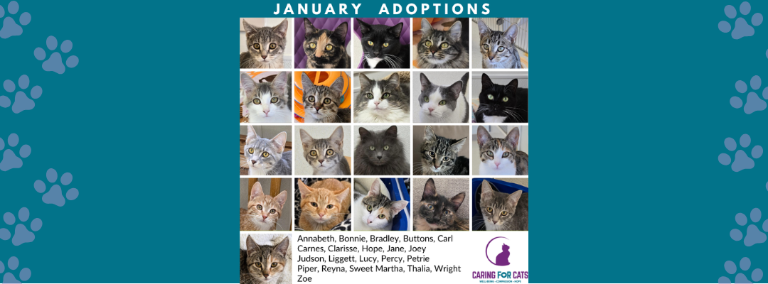 January 2026 Adoptions: So Many New Beginnings
