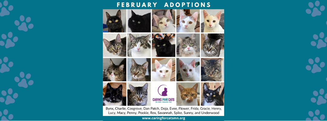 February 2026 Adoptions at Caring for Cats