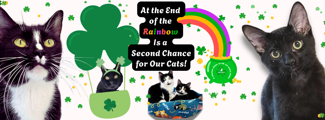 Second Chances Happen Here