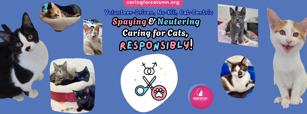 The Lifelong Benefits of Spaying and Neutering Your Cat