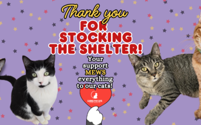 Thank You for Stocking the Shelter