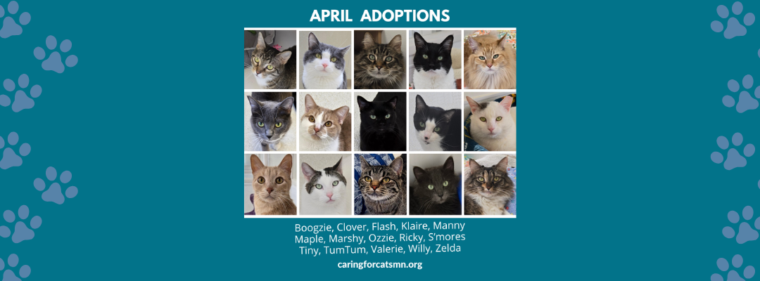 April 2026 Adoptions at Caring for Cats