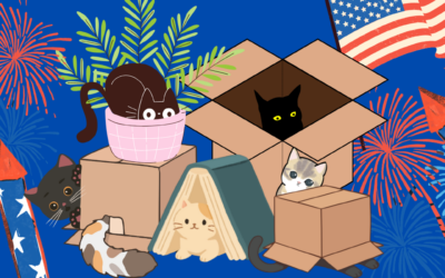 Your Cat’s Guide to Surviving the Fourth of July