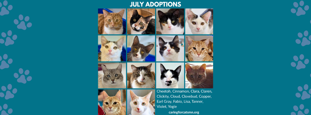July 2026 Adoptions at Caring for Cats