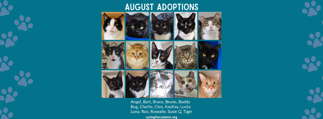 August Adoptions 2026