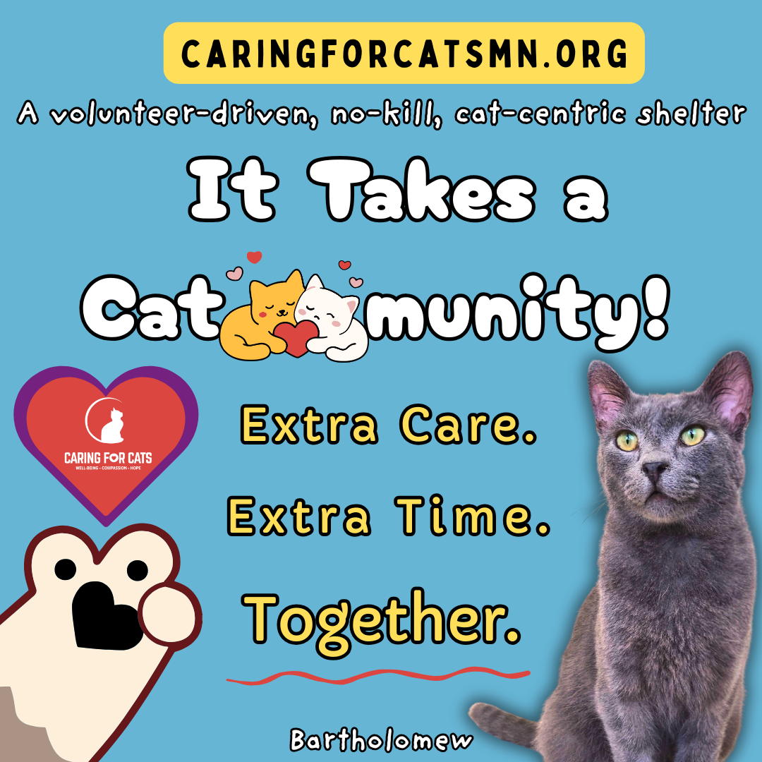 Caring for cats - snip the cycle - be part of the purrfect fix! donate to caringforcatsmn.org/donate meow