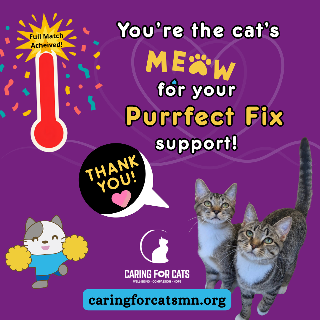 Caring for cats - snip the cycle - be part of the purrfect fix! donate to caringforcatsmn.org/donate meow