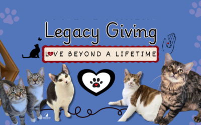 Legacy Gifts and What They Mean to Us