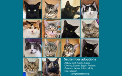 September Adoption Announcements