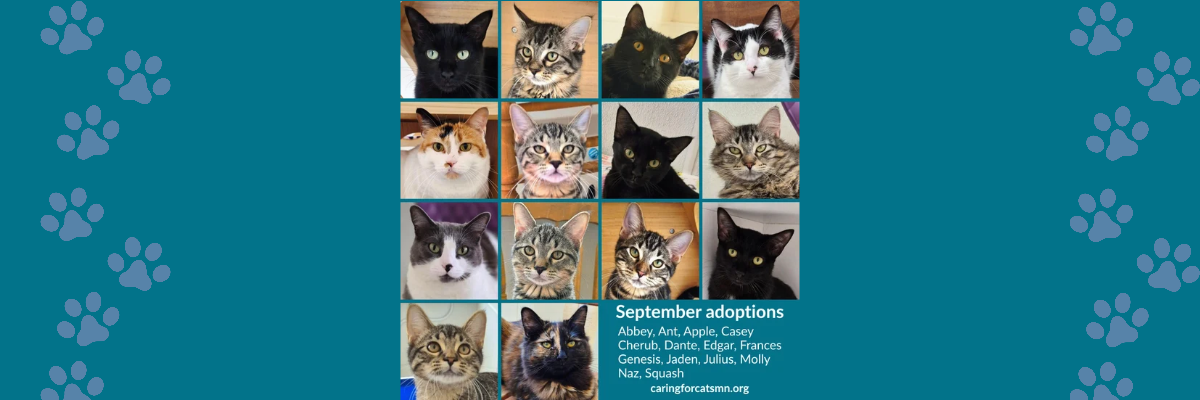 sept26-adopt-header